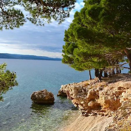 Ibolja بروماجنا